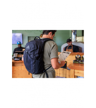 Раница Gregory Nano 20L Summer 2025