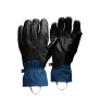 Black Diamond Tour Pro Gloves