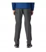 Patagonia Free Wall Pants M's